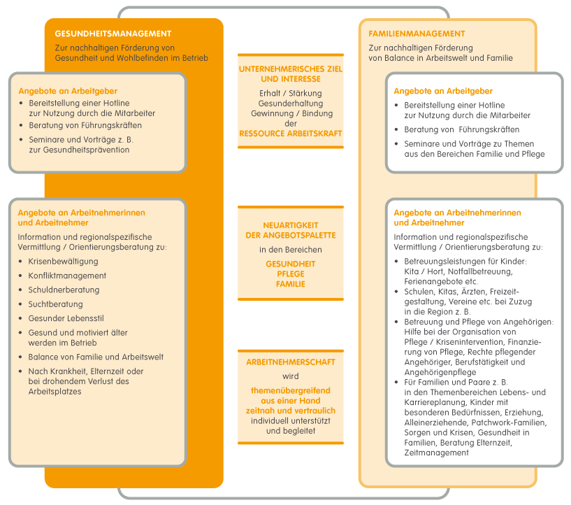 Strukturdiagramm Gesundheitsmanagement