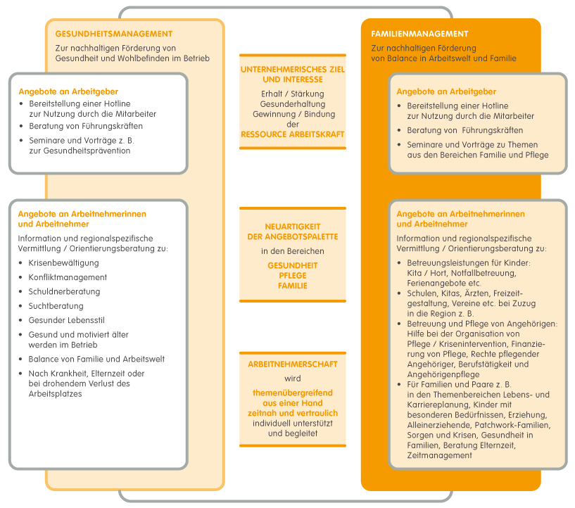 Strukturdiagramm Gesundheitsmanagement